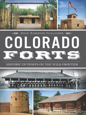 cover image of Colorado Forts